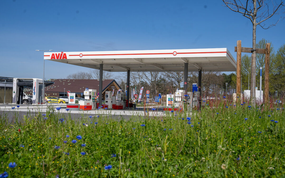 a-lequilbre-christophe-coutin-avia-picoty-1